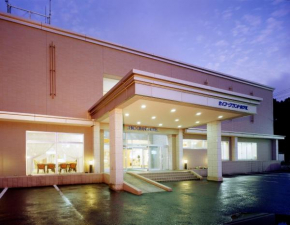 Отель Seiko Grand Hotel  Ога